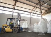 PT Timah dan Dukungan Pembangunan Nasional