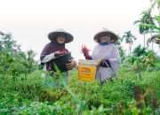 PT Timah Dorong Ekonomi Lokal Melalui Program Pemberdayaan Masyarakat Berbasis Potensi Daerah