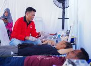 HUT ke-49 PT Timah di Kundur: Donor Darah, Jalan Sehat, dan Bazar UMKM Meriahkan Warga