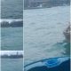 Tambang Timah Jenis Tower di Perairan Laut Desa Cupat Berpotensi Masalah, Tindakan Tegas APH Dinanti Masyarakat