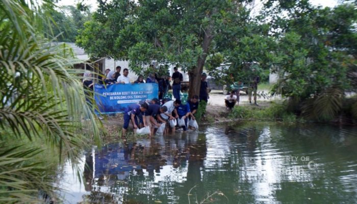 Bangun Ekosistem Produktif, PT TIMAH Tbk Dorong Pemanfaatan Kolong Eks Tambang