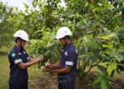 Komitmen Reklamasi Berkelanjutan, PT TIMAH Tbk Tanam Lebih dari 1,4 Juta Pohon Selama Satu Dekade