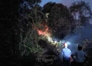 Dukung Keselamatan Lingkungan, PT TIMAH Tbk Terjunkan Tim Rescue dan Damkar Tangani Karhutla di Kundur Barat