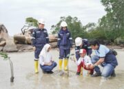 Komitmen Lingkungan Berkelanjutan, PT TIMAH Tbk Gandeng Pelajar Tanam Mangrove di Bangka