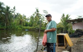 Mitra Binaan PT Timah Sukses Kembangkan Tambak Ikan, Panen Rutin dan Serap Tenaga Kerja