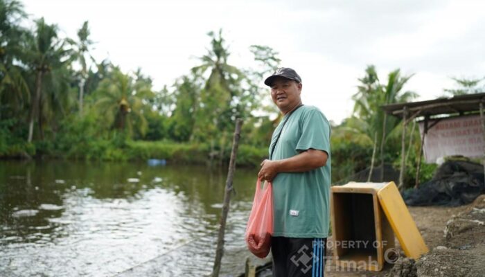 Mitra Binaan PT Timah Sukses Kembangkan Tambak Ikan, Panen Rutin dan Serap Tenaga Kerja