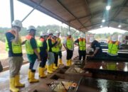PT Timah Buka Akses Investor, Tampilkan Langsung Proses Tambang hingga Pengolahan Timah