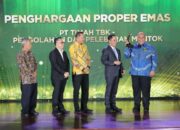 PT Timah Borong Penghargaan PROPER Emas dan Hijau, Perkuat Praktik Tambang Ramah Lingkungan