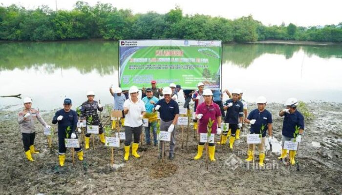 PT TIMAH Perkuat Program Lingkungan Berkelanjutan Lewat Penanaman Mangrove di Bangka