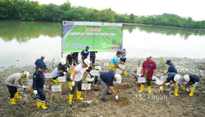 Kolong AKHLAK Air Kantung Ditata Jadi Kawasan Hijau dan Produktif oleh PT TIMAH