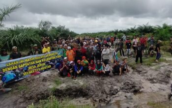 Lahan 275 Hektar Diduga Dicaplok PT FAL: Warga Desa Jeriji Geram, Sawit Sudah Ditanam Padahal Masih Sengketa