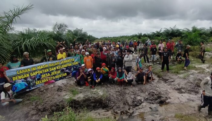 Lahan 275 Hektar Diduga Dicaplok PT FAL: Warga Desa Jeriji Geram, Sawit Sudah Ditanam Padahal Masih Sengketa