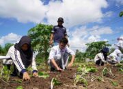 PT TIMAH Luncurkan Buku Selaras Harmoni Reklamasi dan Kenalkan Pengelolaan Lingkungan kepada Generasi Muda