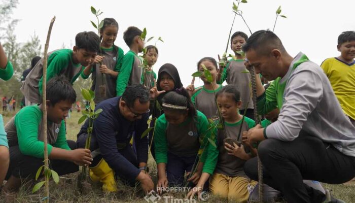 Reklamasi PT TIMAH Capai 78,21 Hektare pada Semester I 2026, Dorong Pemulihan Lingkungan dan Ekonomi