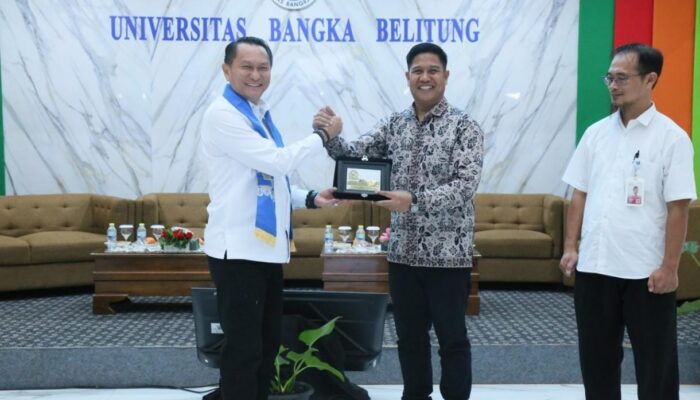 Universitas Bangka Belitung Dukung Penyusunan RUU Ketenagalistrikan, Soroti Transisi Energi dan Keandalan Listrik