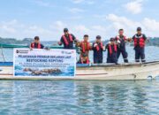 PT TIMAH Lepas 1.000 Bibit Kepiting Bakau di Perairan Kundur, Dukung Kelestarian Ekosistem Pesisir
