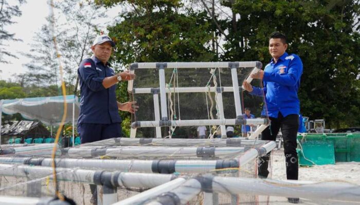 PT TIMAH dan HNSI Bangka Pasang 81 Atraktor Cumi, Dukung Habitat Laut dan Nelayan